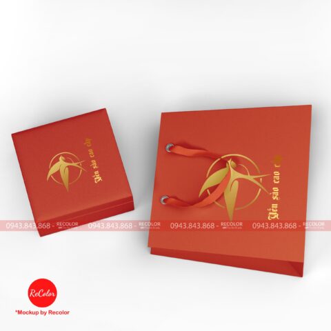 Túi giấy TK008