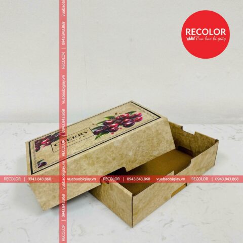 Hộp Carton Đựng Trái Cây HS450 RECOLOR