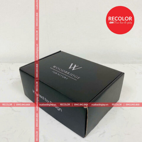 HỘP CARTON NẮP GÀI NGÀNH NỘI THẤT HS449 RECOLOR