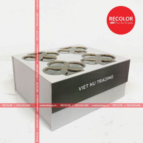 Hộp Nam Châm Cửa Sổ Cao Cấp HS453 RECOLOR