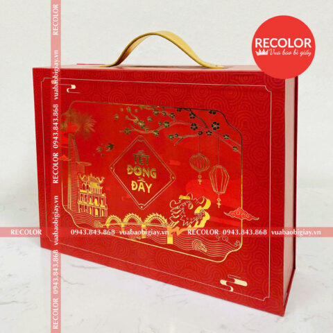 Hộp Quà Tết Quai Da Xu Thế Mới HS488 RECOLOR
