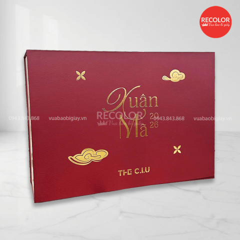 HỘP CỨNG CAO CẤP NAM CHÂM QUÀ TẾT HC0214 RECOLOR